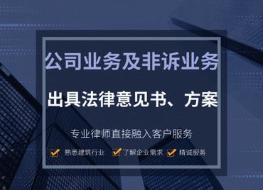 出具法律意见书、方案